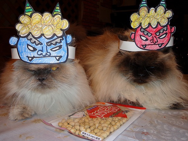 猫のグレコとシータ