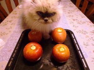 焼き林檎と猫