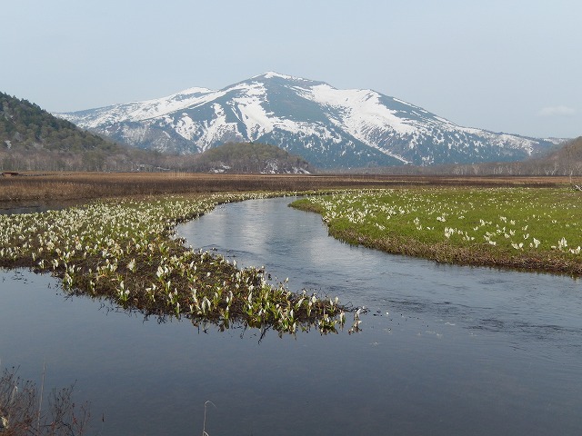 尾瀬ヶ原
