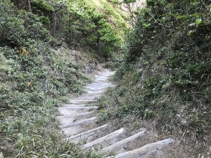 式根島 式根島