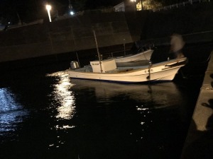 夜光虫 夜光虫